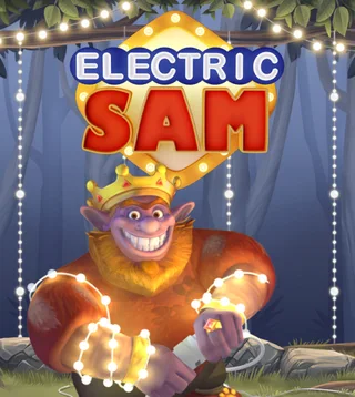 Слот Electric Sam в Слотокинг казино
